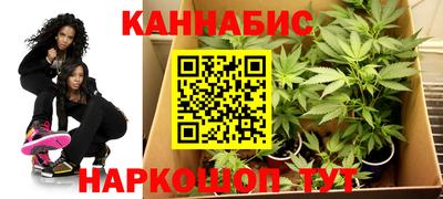 молекула духа Будённовск