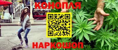 молекула духа Будённовск