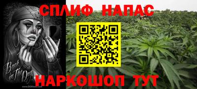 молекула духа Будённовск
